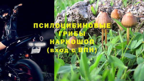 PSILOCYBIN Нефтекумск