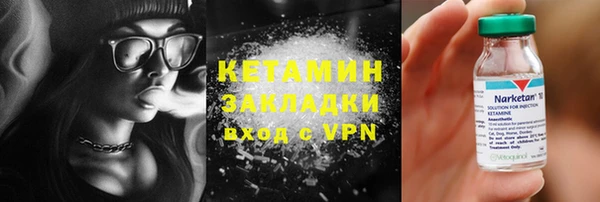 шишки Надым