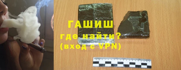 гашик Новозыбков