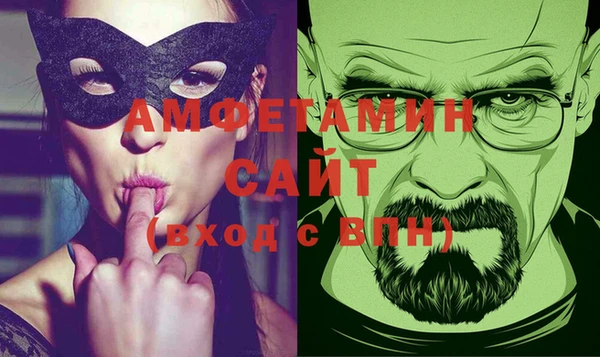 гашик Новозыбков