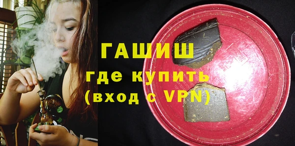 шишки Надым