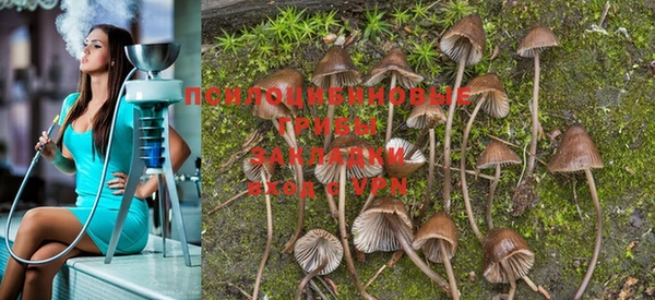 PSILOCYBIN Нефтекумск