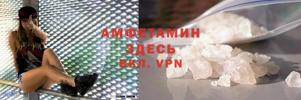шишки Надым