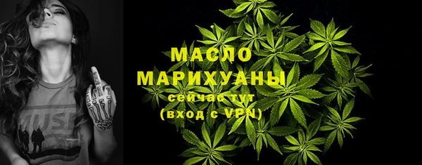 гашик Новозыбков