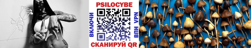 Псилоцибиновые грибы Magic Shrooms  Николаевск-на-Амуре 